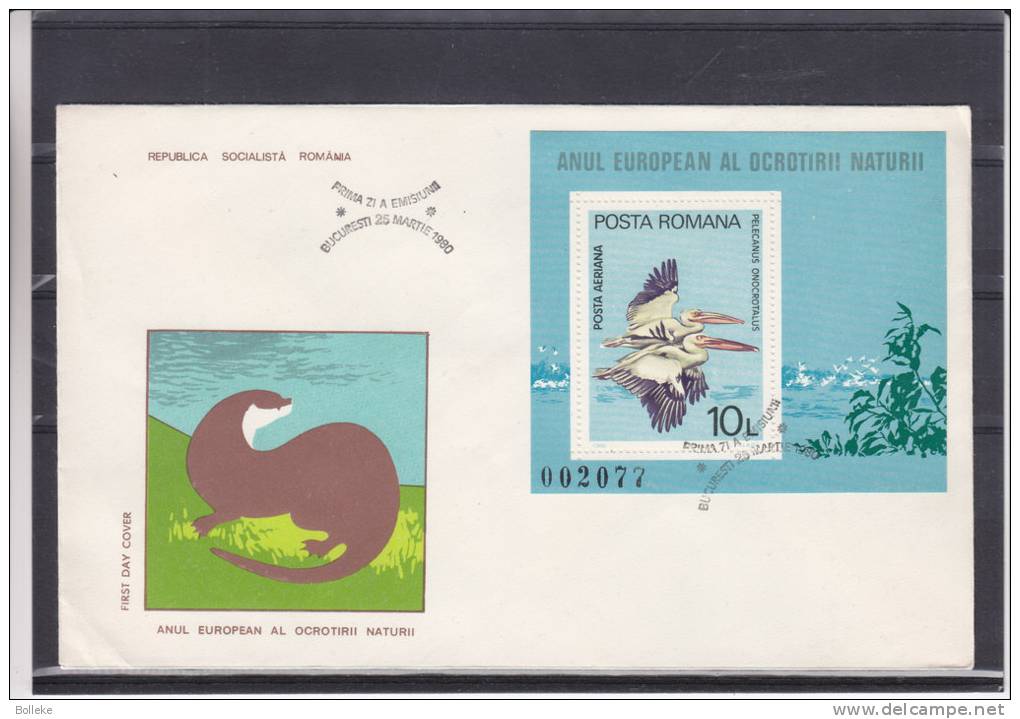 Idées Européennes - Oiseaux - Pélicans - Roumanie - Document De 1980 - Picotenazas & Aves Zancudas