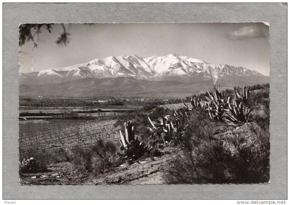 38584    Francia,   Plaine  Du  Roussillon - Le  Canigou (2785 M.),  VGSB - Roussillon