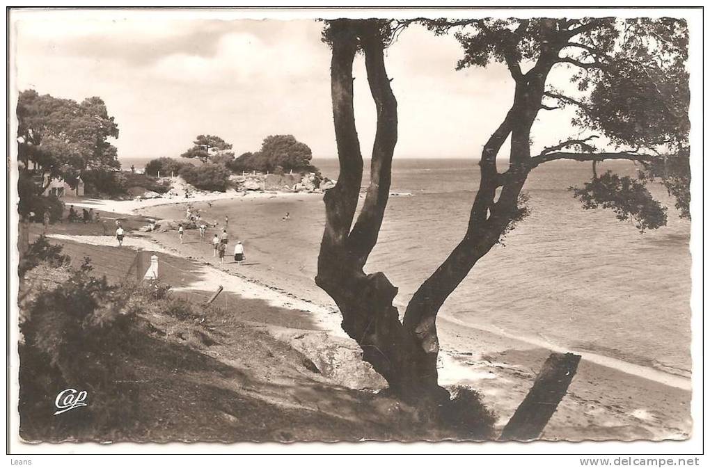 ILE DE NOIRMOUTIER  - La Plage De La Pointe Saint Pierre - N°88 - Ile De Noirmoutier