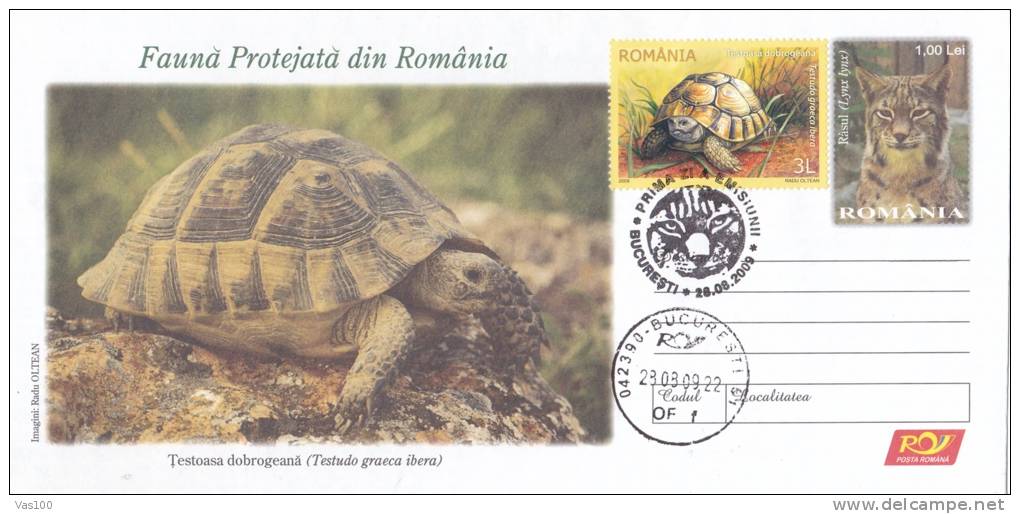 TURTLE, TORTUE, COVER FDC, ENTIERE POSTAUX, POSTAL STATIONERY, 2009, ROMANIA - Schildkröten