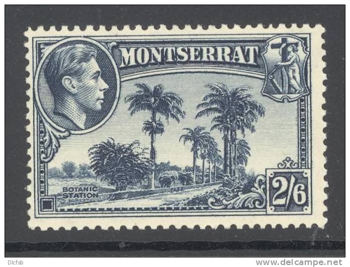 MONTSERRAT, 1938 2s6d (P13) VLMM, Cat &pound;38 - Montserrat