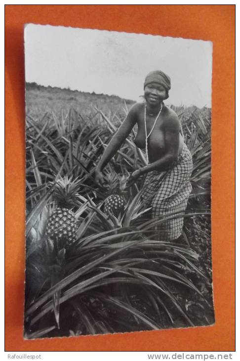 Cp  Abidjan " Les Ananas" - Côte-d'Ivoire