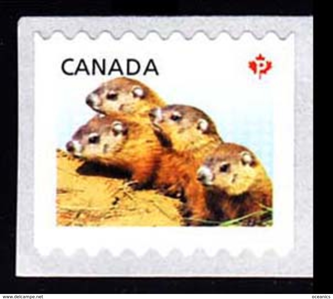 Canada (Scott No.2603 - Faune Et Leurs Bébés / Wild Animal's Babies 2012) (**) - Neufs