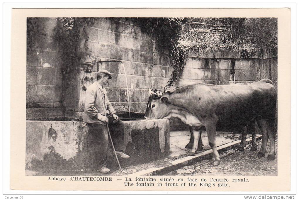 73 - Abbaye D'Hautecombe - La Fontaine Située En Face De L'entrée Royale - Editeur: ? (boeuf) - Other & Unclassified