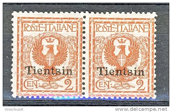 Tientsin 1918-19 SS 6 N. 5 C. 2 Bruno Rosso Coppia MNH Cat. € 300 - Tientsin