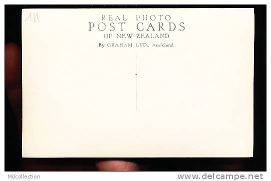 NOUVELLE ZELANDE DIVERS / Twins Geyser In Action / - Nouvelle-Zélande