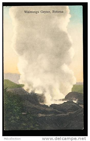 NOUVELLE ZELANDE ROTORUA / Waimungu Geyser / - Nuova Zelanda