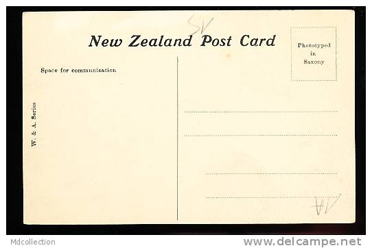 NOUVELLE ZELANDE ROTORUA / Waimungu Geyser / - Nouvelle-Zélande