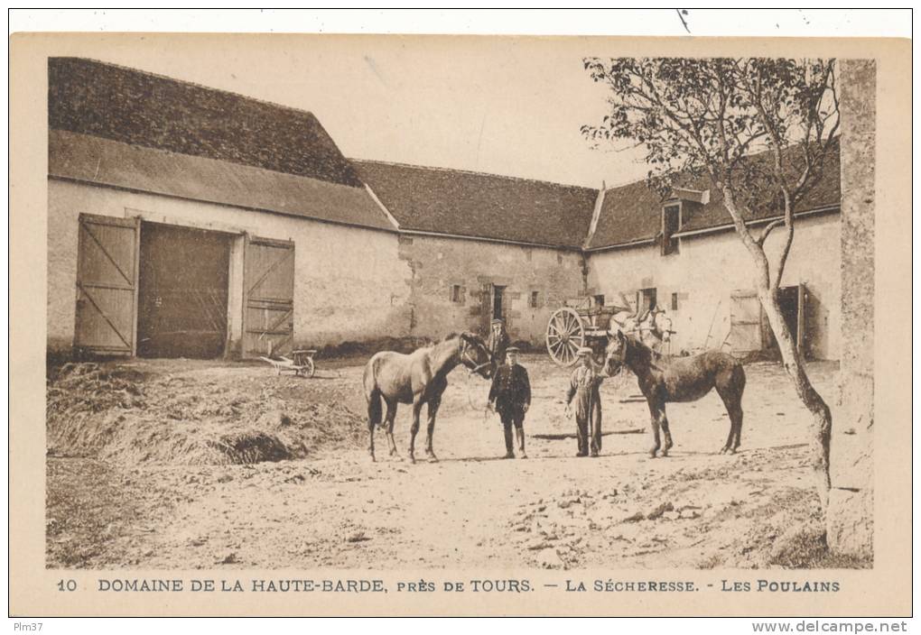 BEAUMONT LA RONCE - Domaine De La Haute Barde - Ferme De La Sécheresse - Les Poulains - Beaumont-la-Ronce