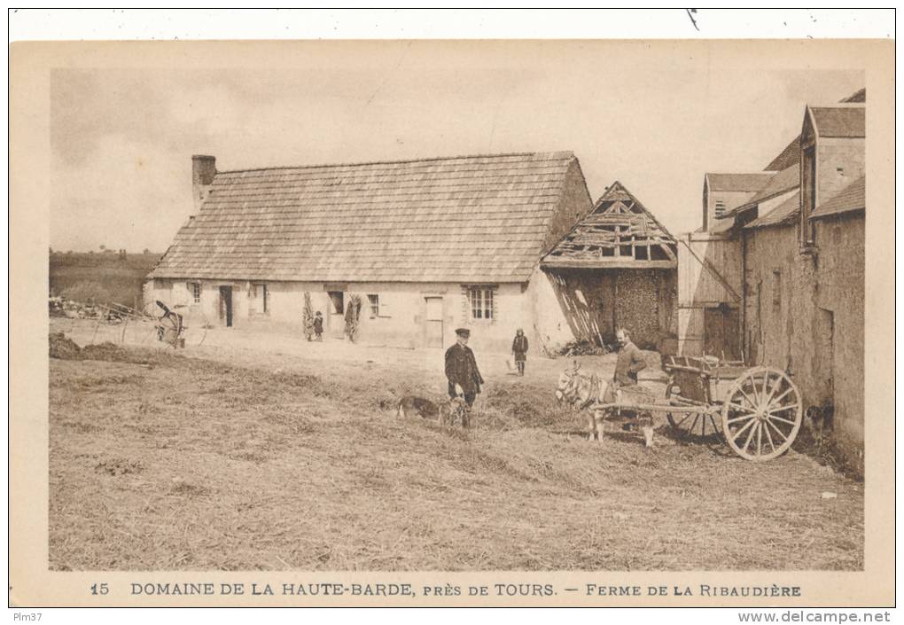 BEAUMONT LA RONCE - Domaine De La Haute Barde - Ferme De La Ribaudière - Beaumont-la-Ronce
