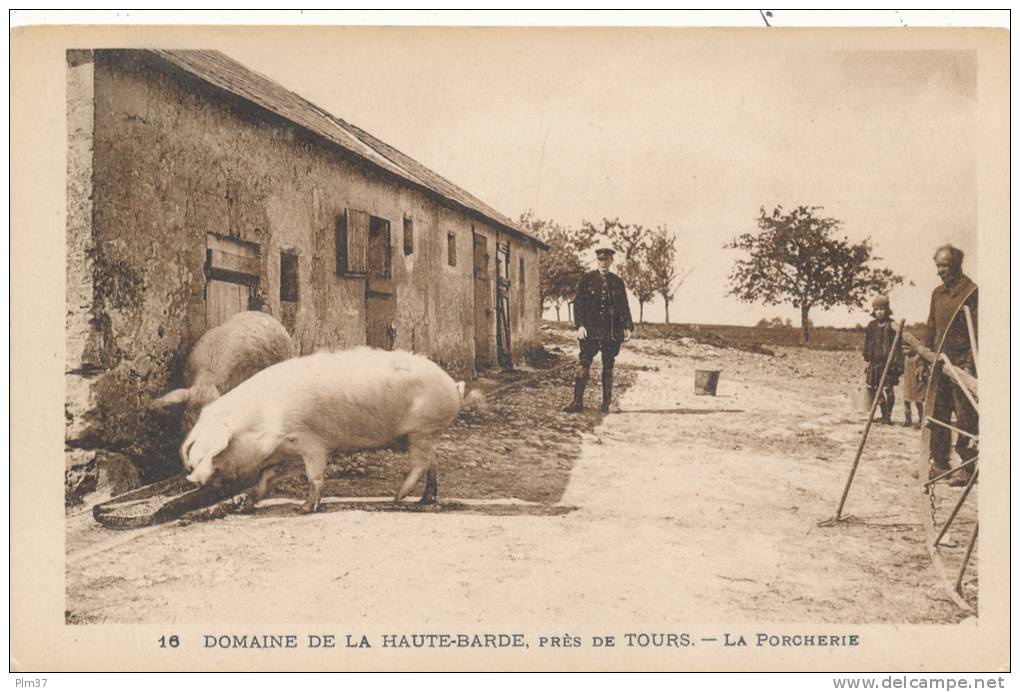 BEAUMONT LA RONCE - Domaine De La Haute Barde - La Porcherie - Beaumont-la-Ronce