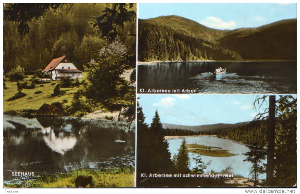 Germany-Postcard 1968-Kl.Arbersee Mit Arber-2/scans - Regen