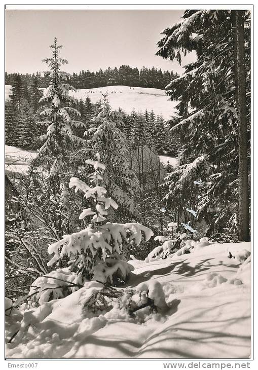 PK-CP Deutschland, Altenau Im Harz, Ungebraucht, Siehe Bilder! - Altenau