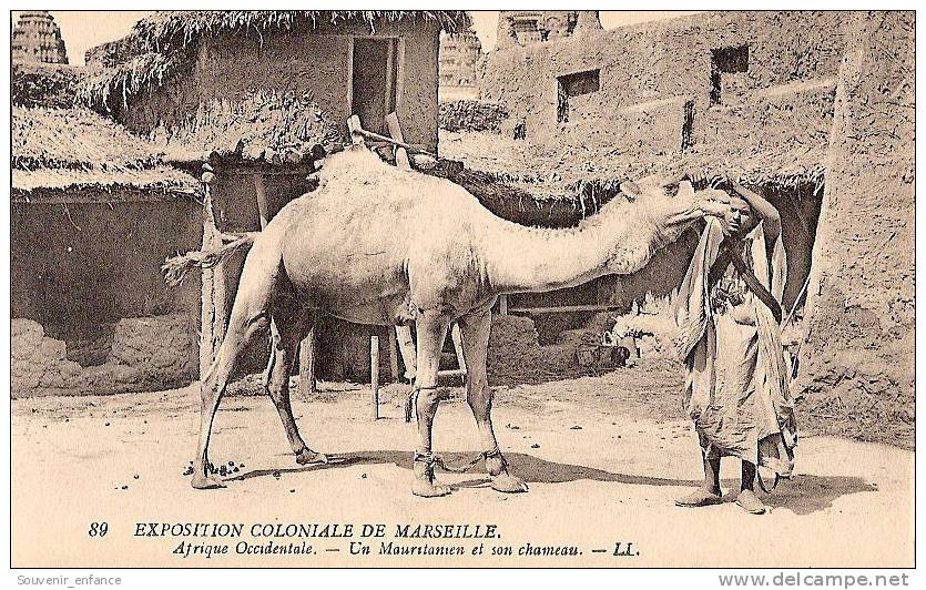 CPA Exposition Coloniale De Marseille 1922 LL Afrique Occidentale Un Mauritanien Et Son Chameau - Mauritania