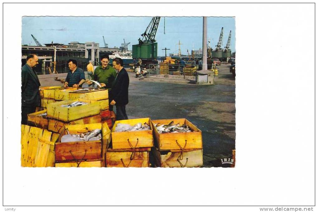 62 Boulogne Sur Mer Déchargement Des Poissons , N°1655 Edit CAP , Flamme Boulogne 1967 - Boulogne Sur Mer