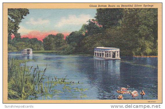 Florida Silver Spring Glass Bottom Boats On Beautiful Silver Springs - Silver Springs