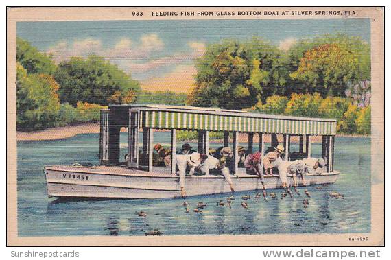 Florida Silver Springs Feeding Fish From Glass Bottom Boat At Silver Springs 1939 - Silver Springs