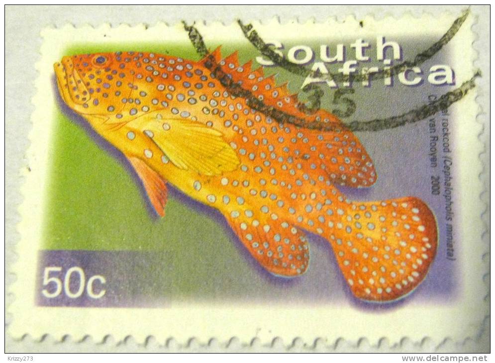 South Africa 2000 Fish Coral Rockcod 50c - Used - Gebruikt