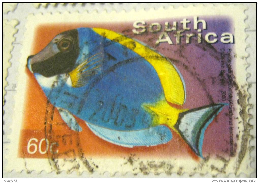 South Africa 2000 Fish Powder Blue Surgeon 60c - Used - Usati