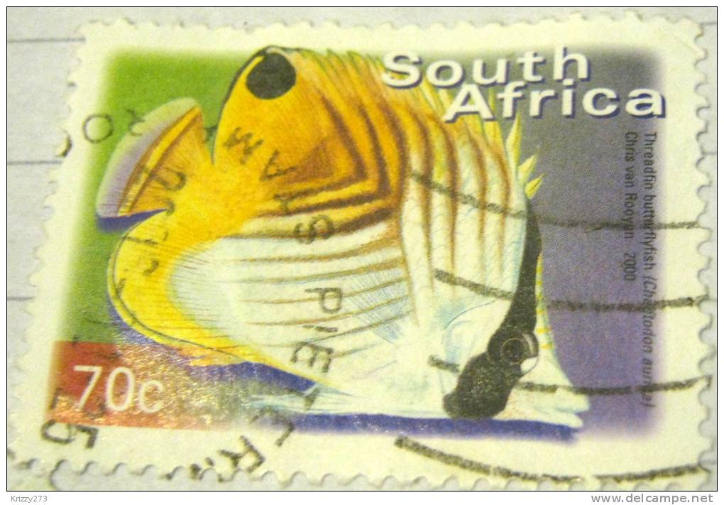 South Africa 2000 Fish Threadfin Butterflyfish 70c - Used - Usati