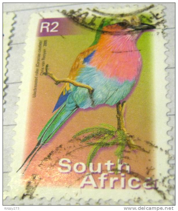 South Africa 2000 Bird Lilacbreasted Roller 2r - Used - Usati