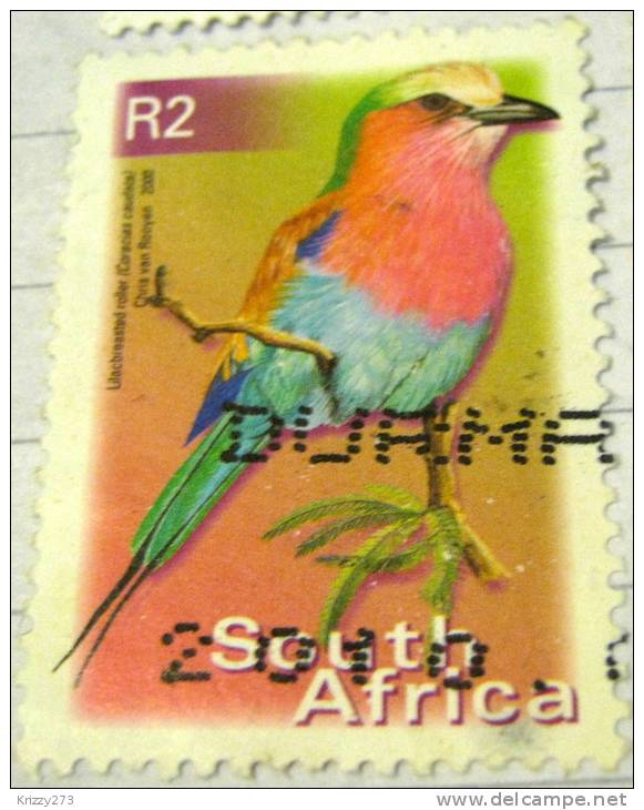 South Africa 2000 Bird Lilacbreasted Roller 2r - Used - Gebruikt