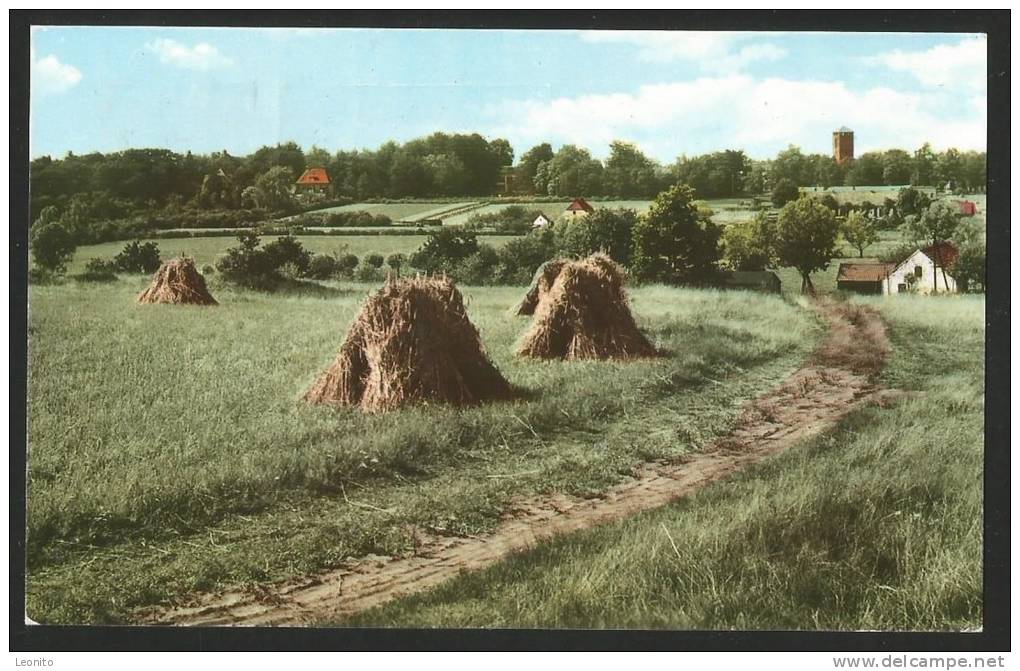 HEELSUM Gezicht Vanaf De Noordberg Op Heelsum Arnhem 1972 - Arnhem