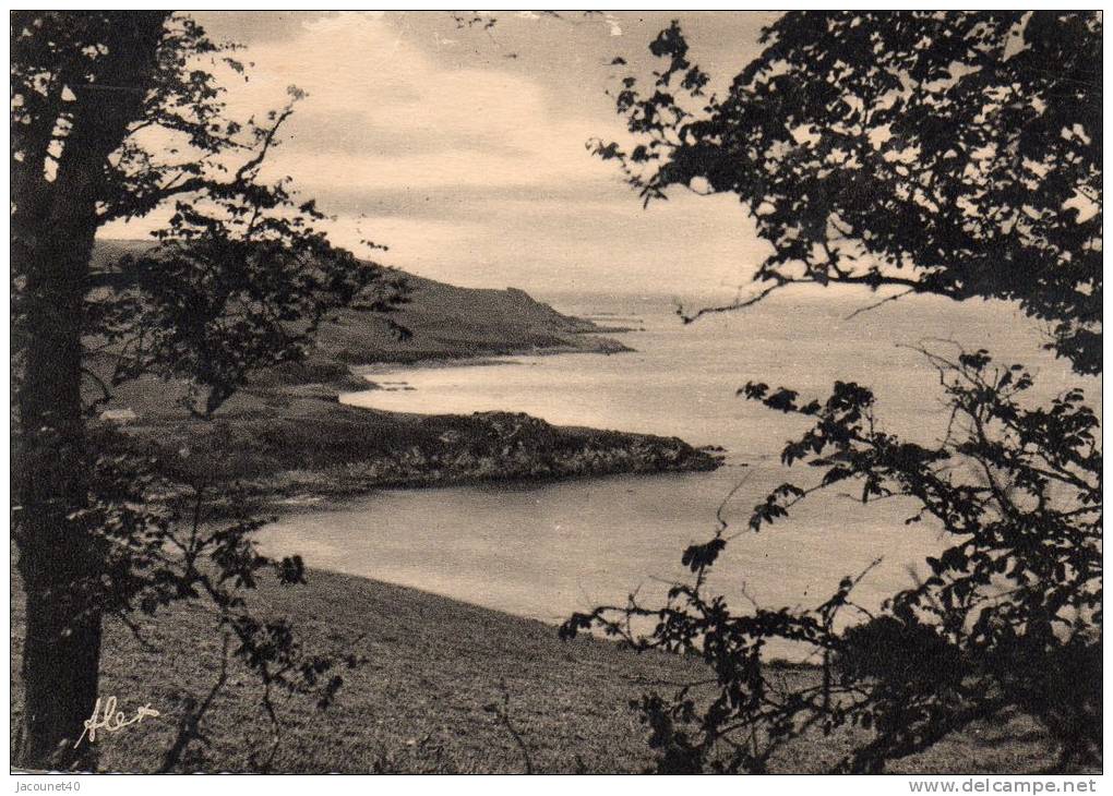 La Hague Falaises D'Omonville Avec Le Vieux Fort - Altri & Non Classificati