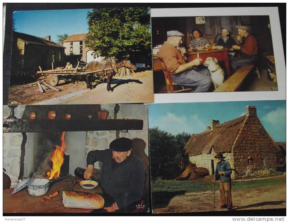 SCENES De VIE PAYSANNE - Lot De 11 CPSM Du Milieu Agricole - Diverses - Toutes Scannées - A Voir ! - Autres & Non Classés