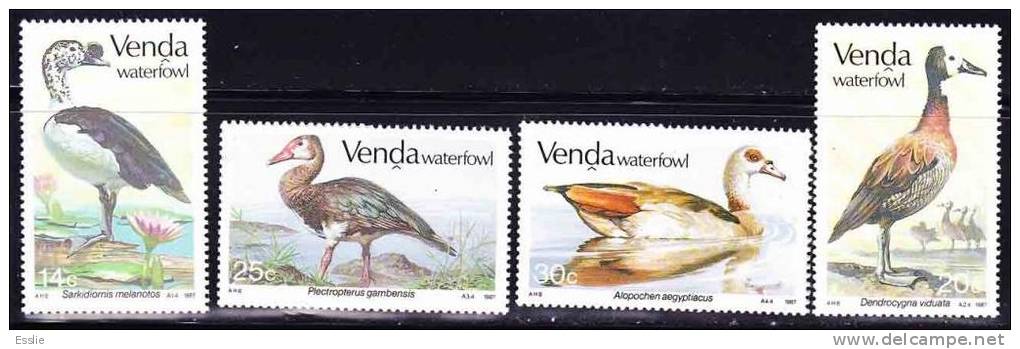 Venda - 1987 - Waterfowl (Birds) - Complete Set MNH - Oche