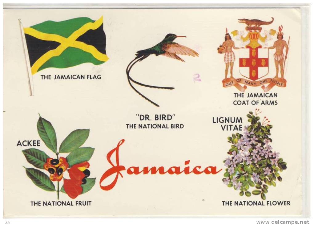 JAMAICA - Dr. BIRD - Coat Of Arms, National Bird; The Jamaican Flag .... , Nice Stamp, 1976 - Jamaica