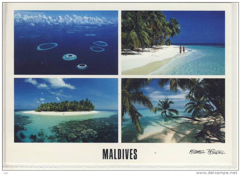 MALDIVES -  MALE ATOLL   Multi View   By Michael Friedel   -   2002, Nice Stamp Thematic Fish - Maldiven