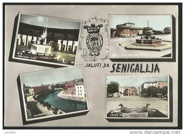 SENIGALLIA Largo Ancona Rocca E Piazza Duca Fontana Faro Panorama Marche 1955 - Senigallia