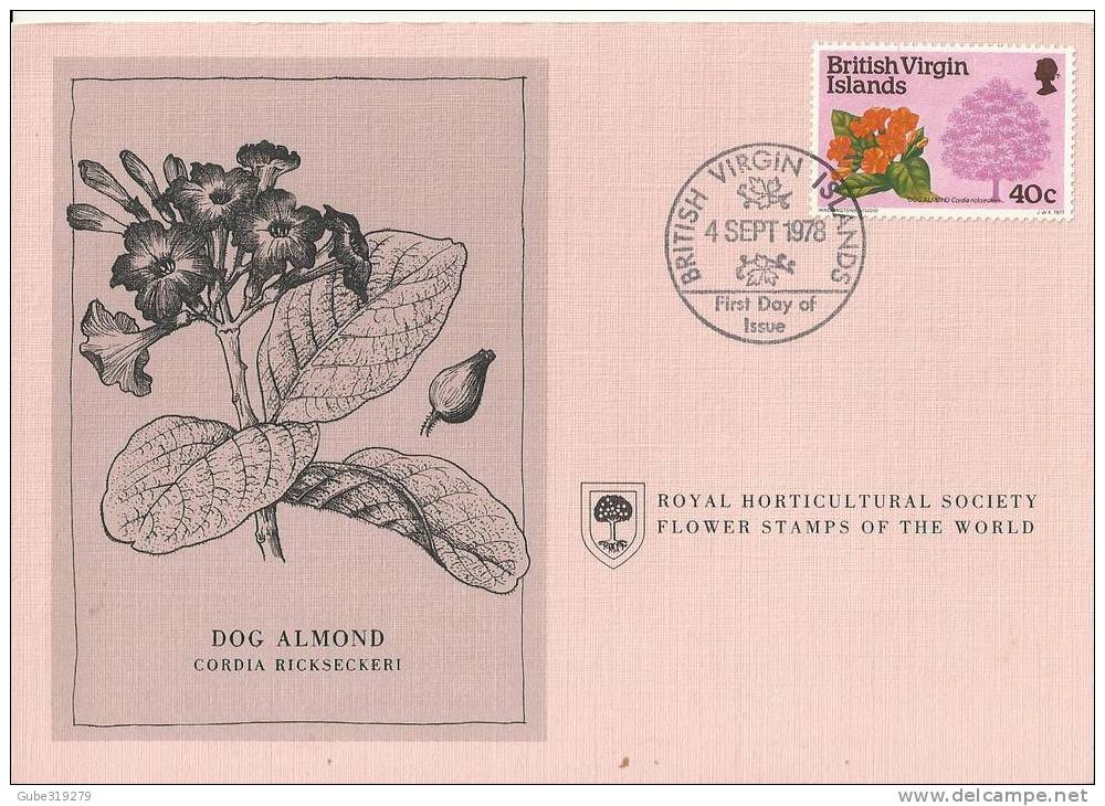 BRITISH VIRGIN ISLANDS 1978 - CARD FD OF ISSUE - FLOWER STAMPS OF WORLD - DOG ALMOND - CORDIA RICKSECKERI W 1 ST OF 40 C - British Virgin Islands