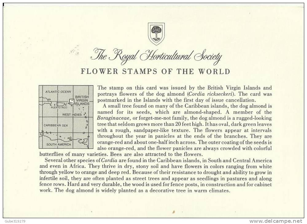 BRITISH VIRGIN ISLANDS 1978 - CARD FD OF ISSUE - FLOWER STAMPS OF WORLD - DOG ALMOND - CORDIA RICKSECKERI W 1 ST OF 40 C - Britse Maagdeneilanden