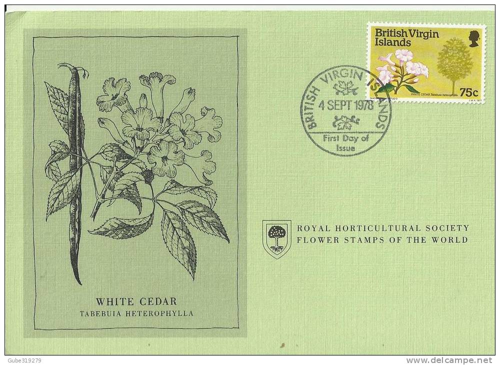 BRITISH VIRGIN ISLANDS 1978 - CARD FD OF ISSUE - FLOWER STAMPS OF WORLD - WHITE CEDAR - TABEBUIA HETEROPHYLLA W 1 ST OF - British Virgin Islands