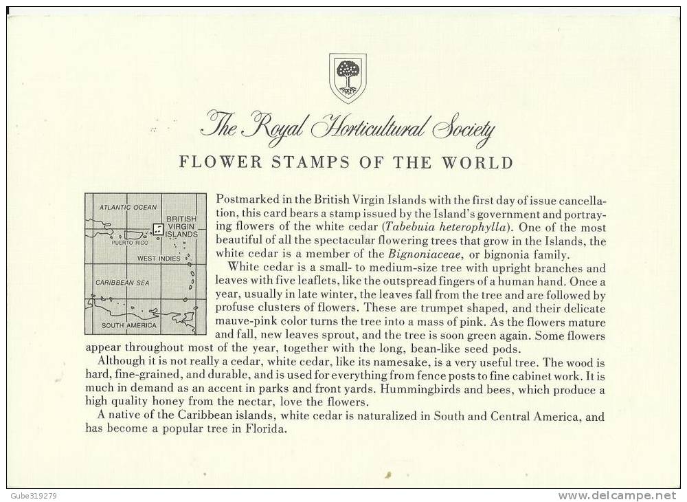 BRITISH VIRGIN ISLANDS 1978 - CARD FD OF ISSUE - FLOWER STAMPS OF WORLD - WHITE CEDAR - TABEBUIA HETEROPHYLLA W 1 ST OF - Iles Vièrges Britanniques