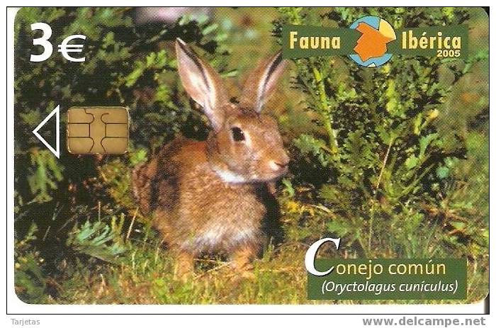 TARJETA DEL CONEJO COMUN DE LA FAUNA IBERICA Y TIRADA 4000 (RABBIT) - Konijnen