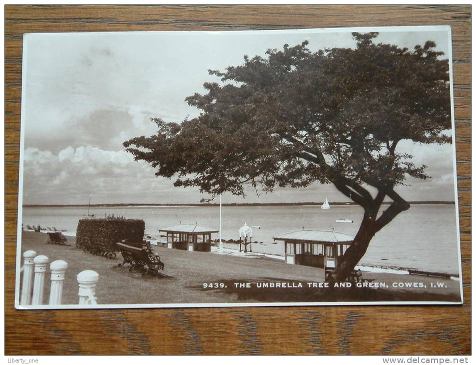 THE UMBRELLA TREE And GREEN, COWES/ Anno 1949 ( Zie Foto Voor Details ) !! - Cowes