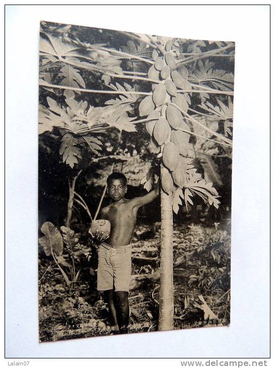 Carte Postale Ancienne : PALAU : Boy And Fruit Tree,  Caroline Islands - Palau