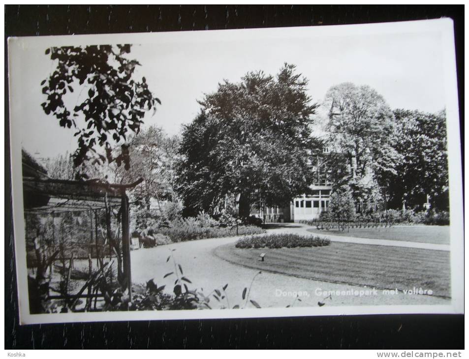 DONGEN - Verzonden 1971 - Gemeentepark Met Volière -  Lot VO 22 - Other & Unclassified