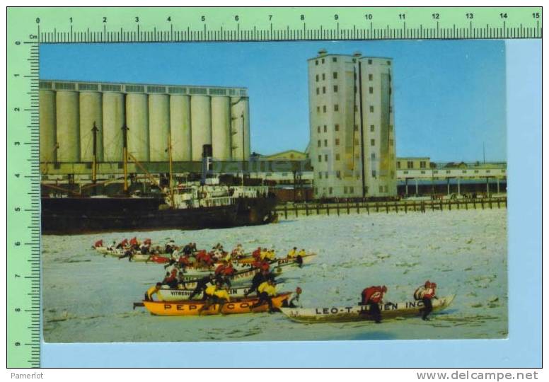 Quebec  Canada  ( La Cource En Cannots Sur Le Fleuve Au Carnavalle En Hiver )Carte Postale Postcard Cartolina 2 Scan - Sports D'hiver