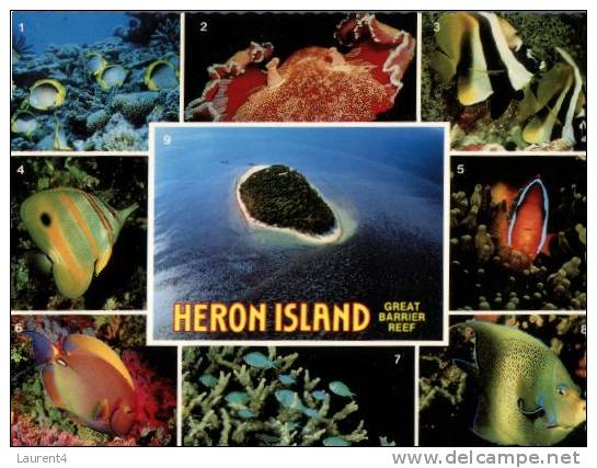 (160) Australia - QLD - Heron Island - Great Barrier Reef