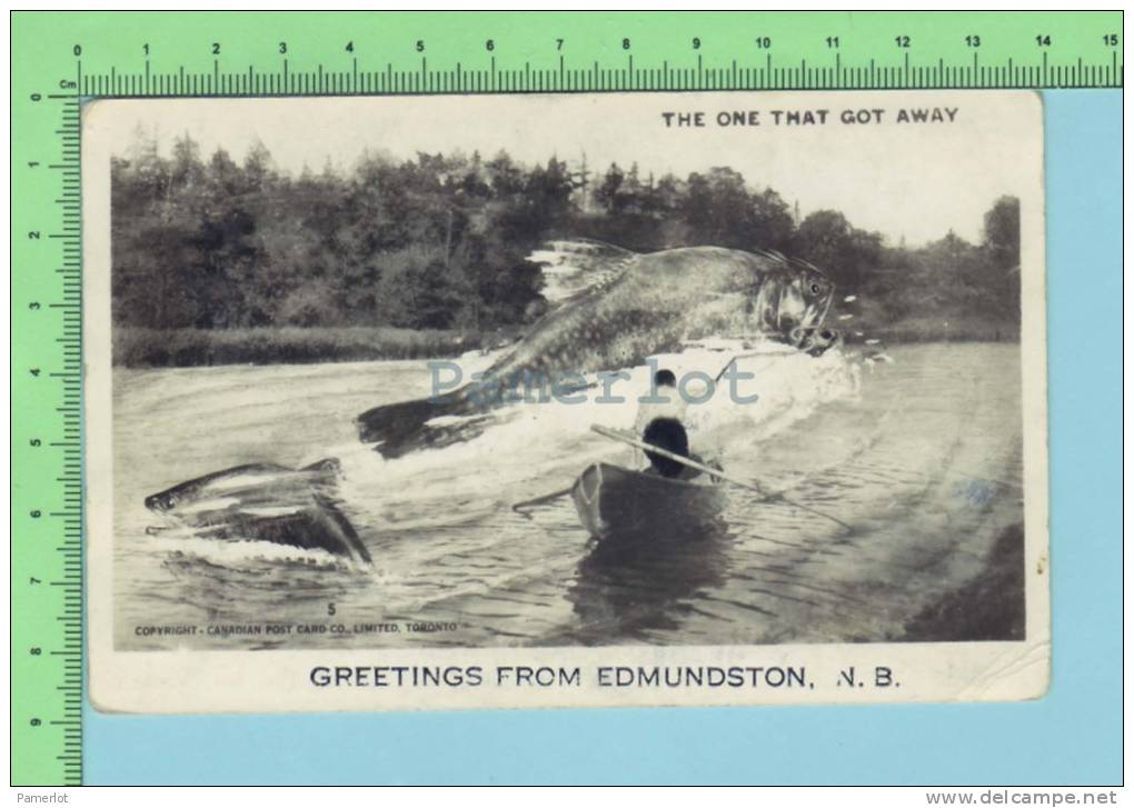 Edmondston N.B.Canada ( Photo Montage Photographique De Pèche " That One That Got Away )  Carte Postale PostCard  2 Scan - Photographie
