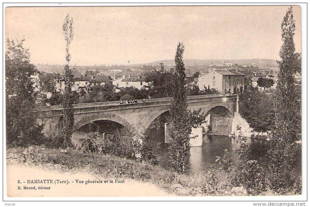 DAMIATTE Vue Générale Et Le Pont (Maurel) Tarn (81) - Autres & Non Classés