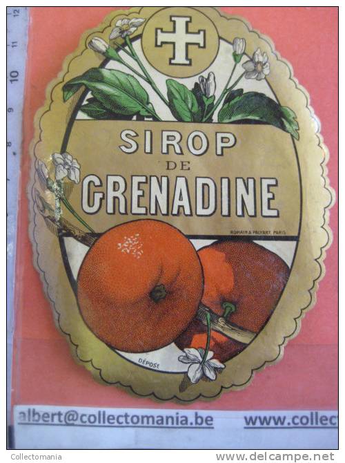 1 étiquette 1870 à 1890  - Sirop De GRENADINE  - Imprimerie Romain & Palyart  - Golden Background, Unusual Form Of L - Fruits Et Légumes