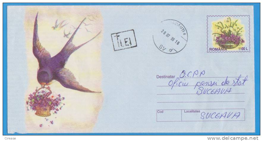Birds, Bird, Swallow, Hirondelles ROMANIA Postal Stationery 2010 - Zwaluwen