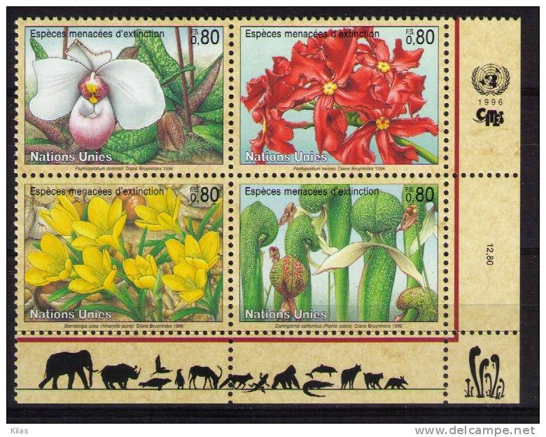 UNITED NATIONS, GENEVA  Flowers - Unused Stamps