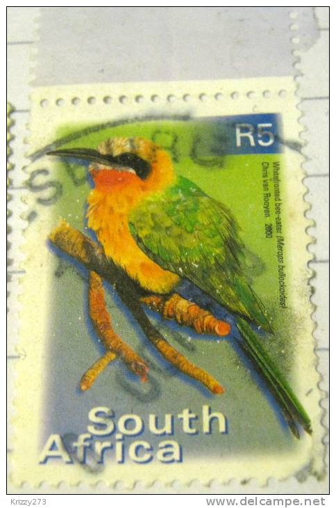 South Africa 2000 Whitefronted Bee-eater Bird 5r - Used - Gebraucht