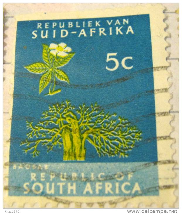 South Africa 1961 Baobab Tree 5c - Used - Used Stamps